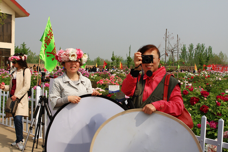 让“牡丹”飞一会儿......菏泽采风花絮