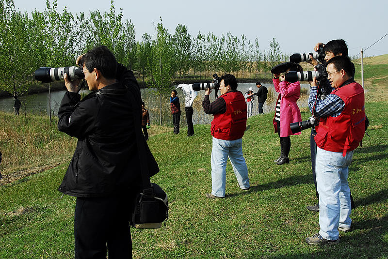 让“牡丹”飞一会儿......菏泽采风花絮