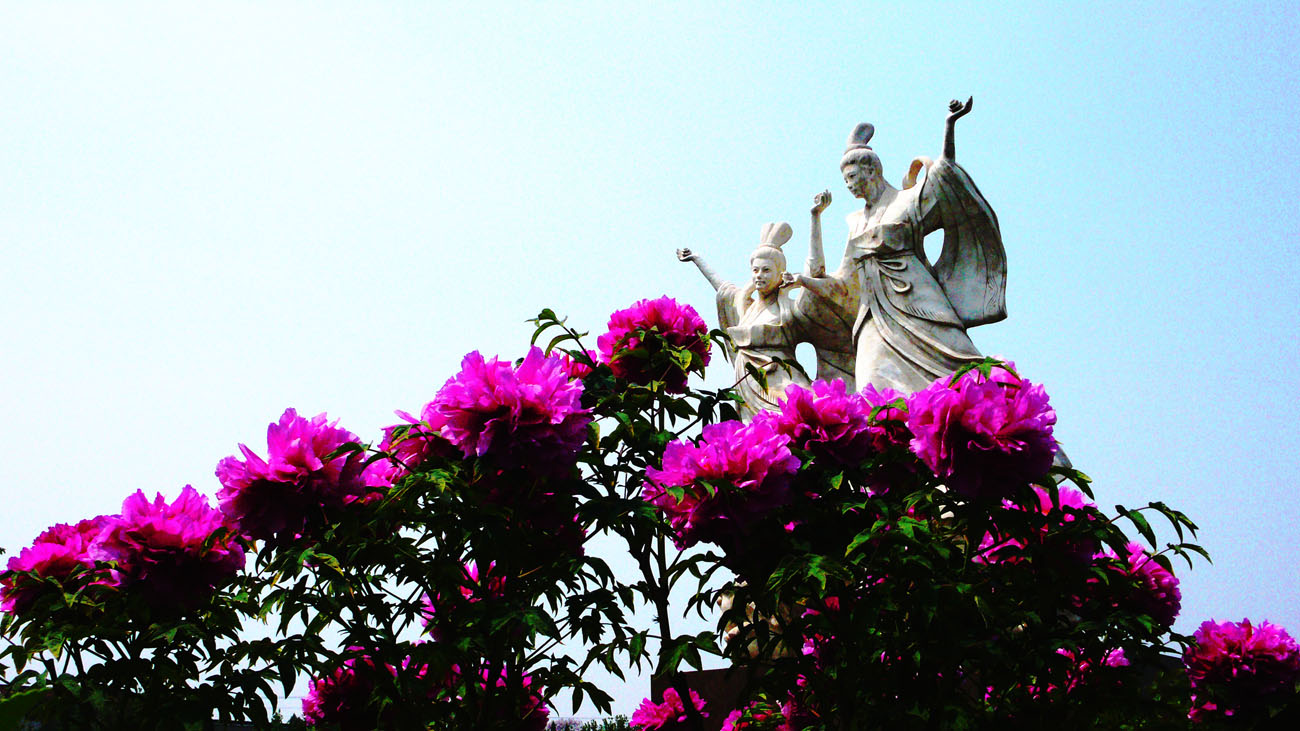 骑行菏泽赏牡丹