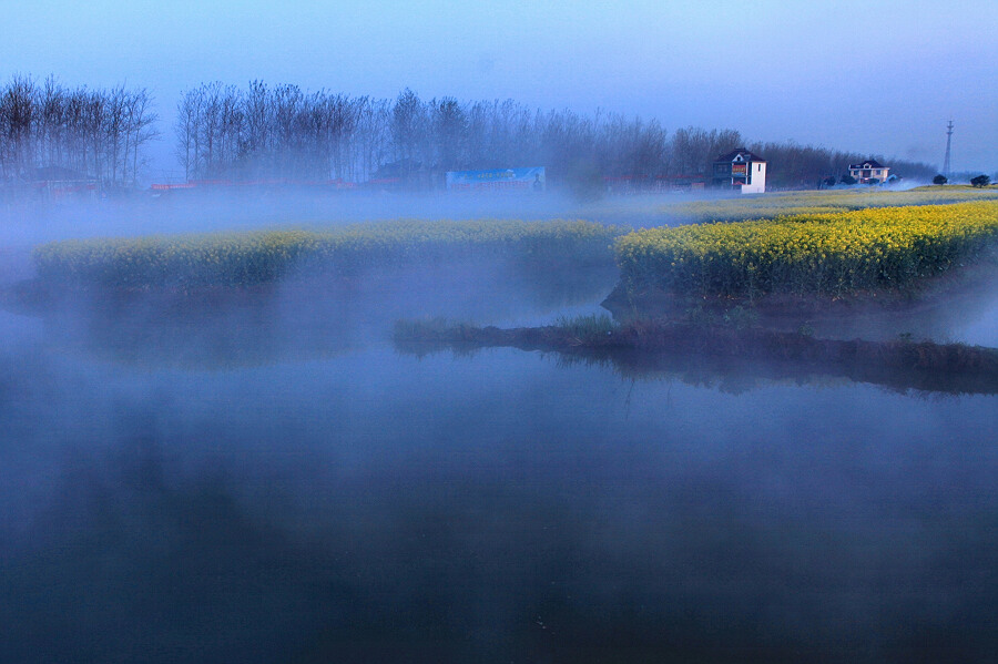 水上油菜花2