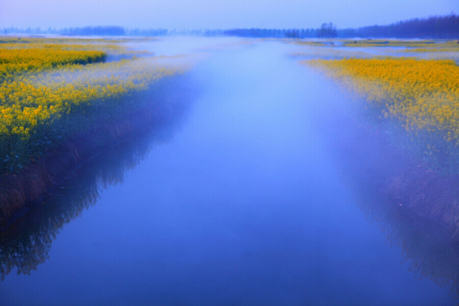 水上油菜花2