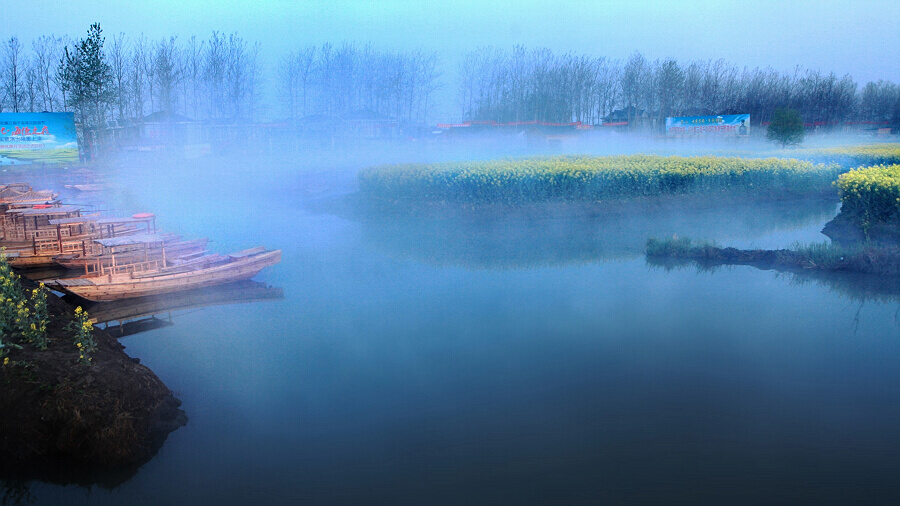水上油菜花2
