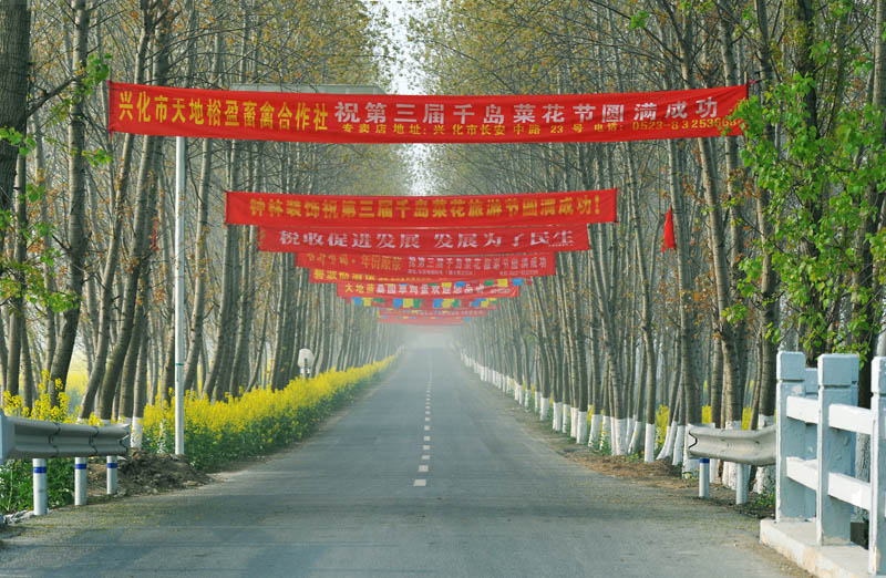 烟花三月下杨州