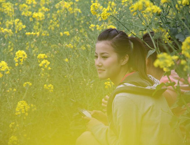 [原创]油菜花多芬芳