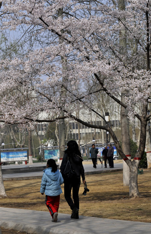 母女情