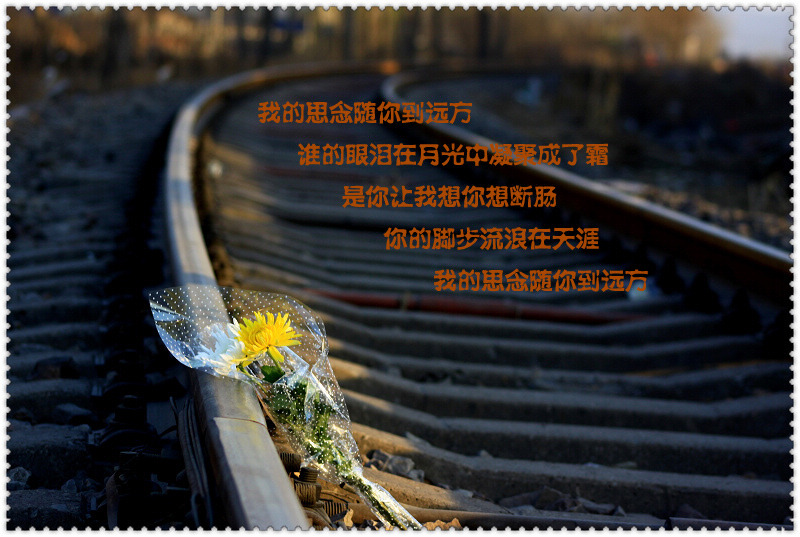 思念