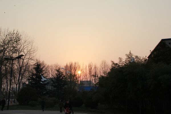 新蕾偶得