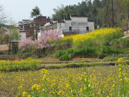 [原创]石谭-北山摄影基地及其他自然风光