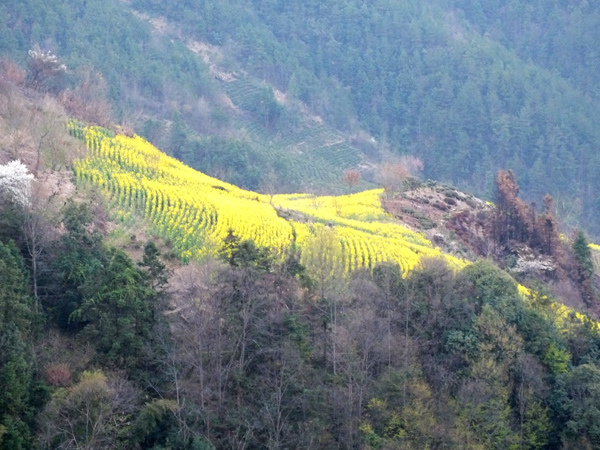 [原创]石谭-北山摄影基地及其他自然风光