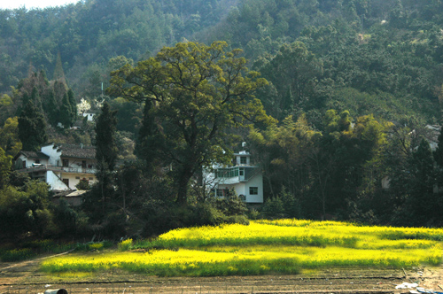 [原创]新安江山水画廊
