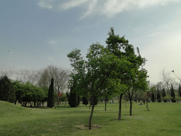 戚城公园小景