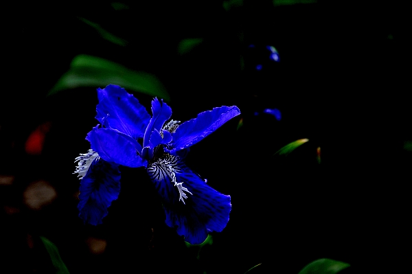 [原创]劳动节爱劳动（院内随拍）