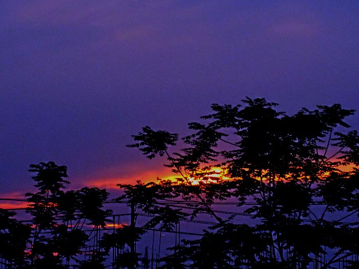 今天的夕阳