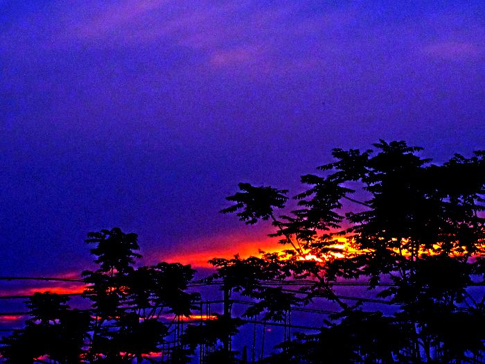 今天的夕阳