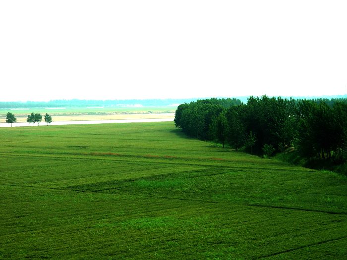 黄河风光
