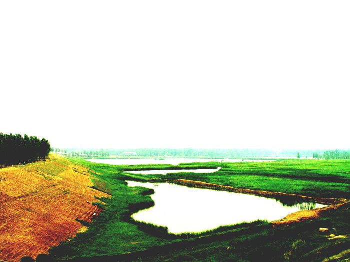 黄河风光