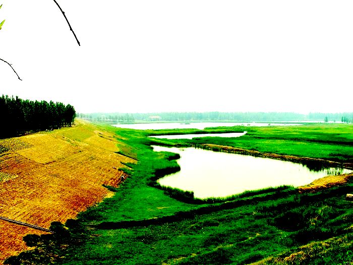 黄河风光