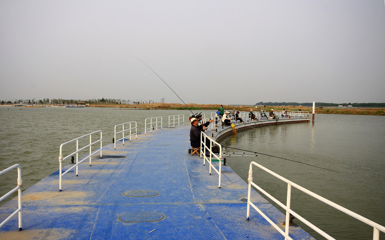 印象衡水湖