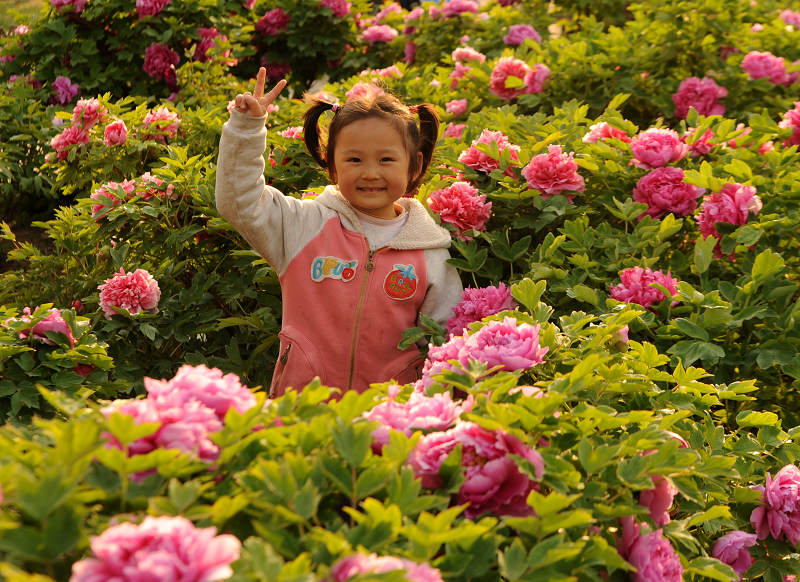 祖国的花朵----节日快乐