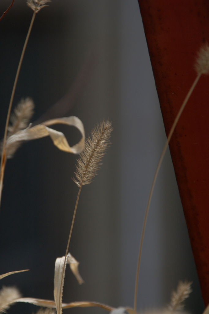 [原创]春天里 - 一公司版本