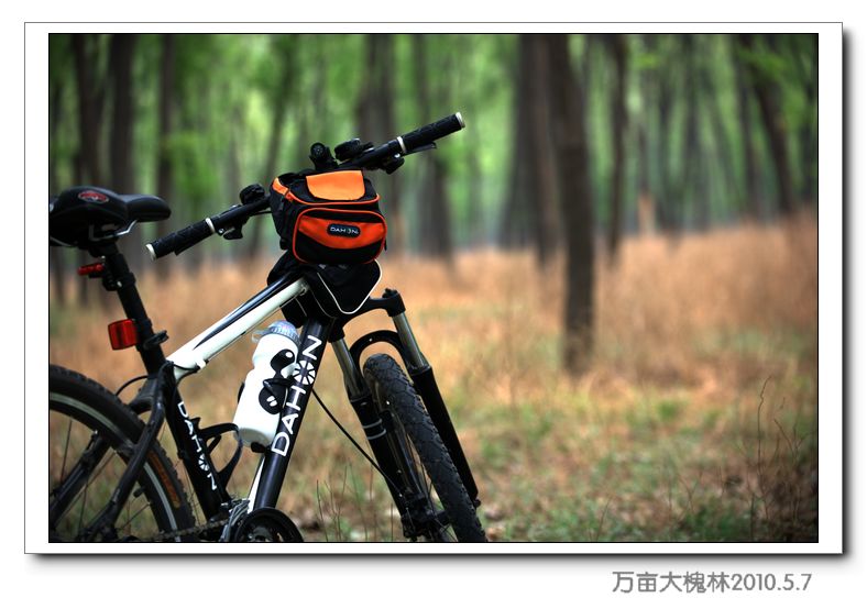 濮阳西行40公里大兴古塔槐树林骑行片片