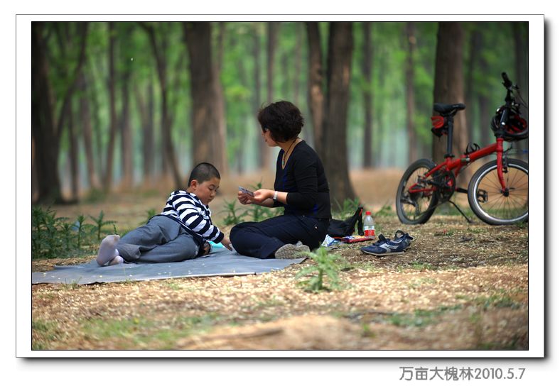 濮阳西行40公里大兴古塔槐树林骑行片片