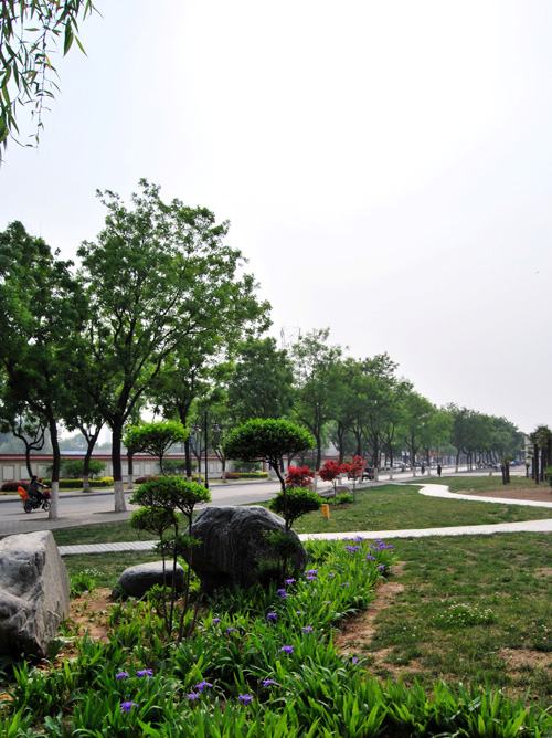 五一路街景