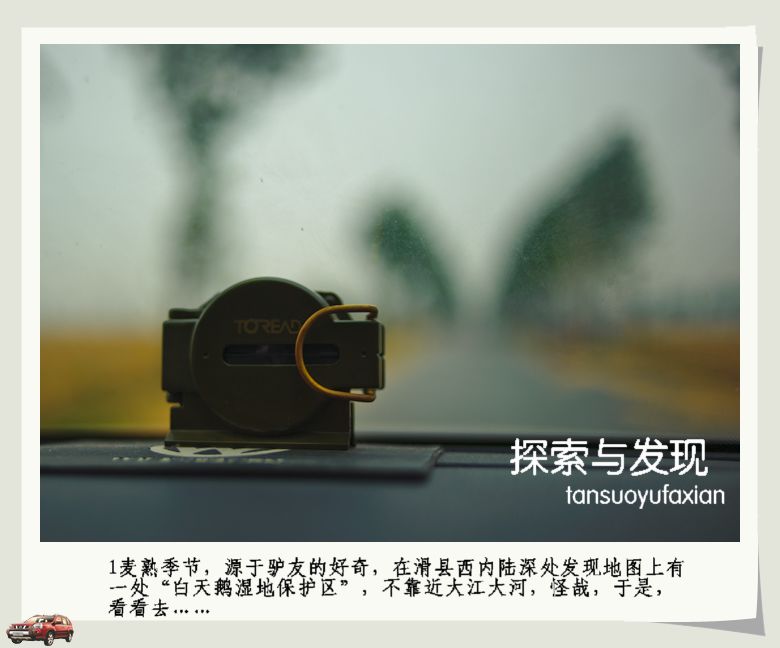 探寻消失的白天鹅湿地
