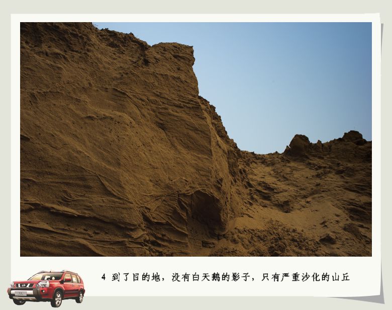 探寻消失的白天鹅湿地