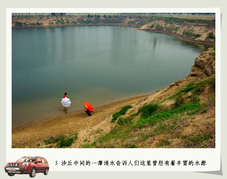 探寻消失的白天鹅湿地