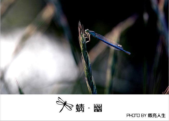[贴图]代网友敞亮人生发帖 - 蜻·幽