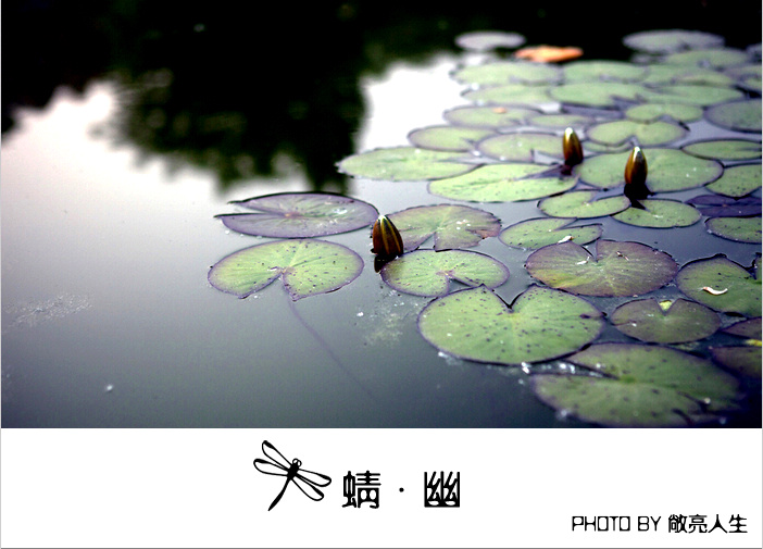 [贴图]代网友敞亮人生发帖 - 蜻·幽