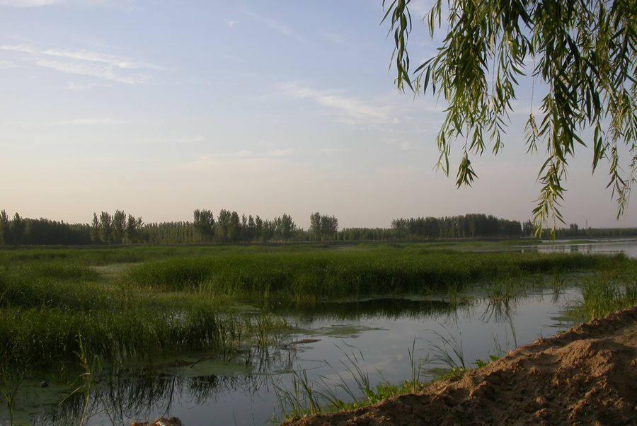 古云仙鹤湖