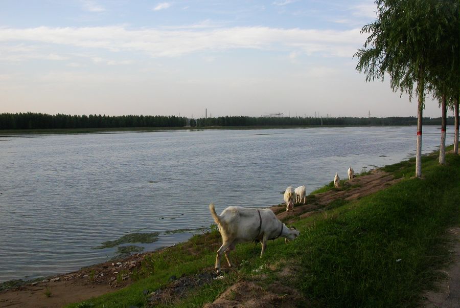 古云仙鹤湖