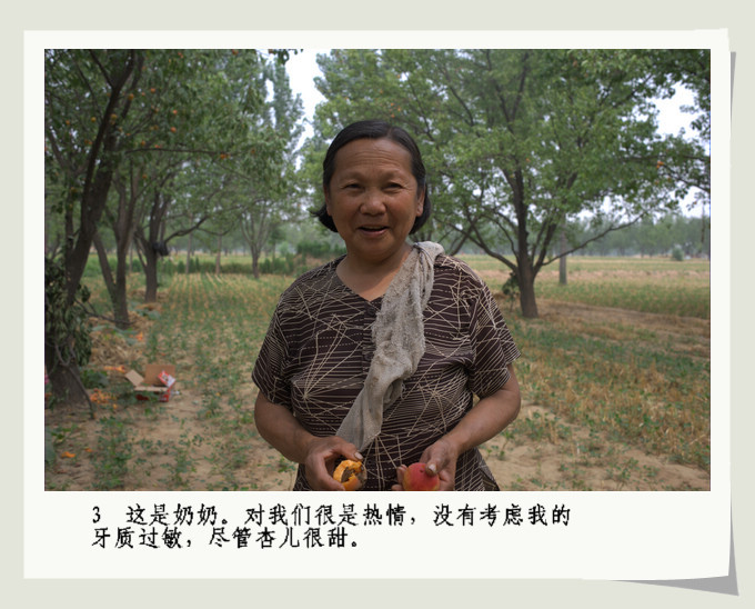 南乐。杏。