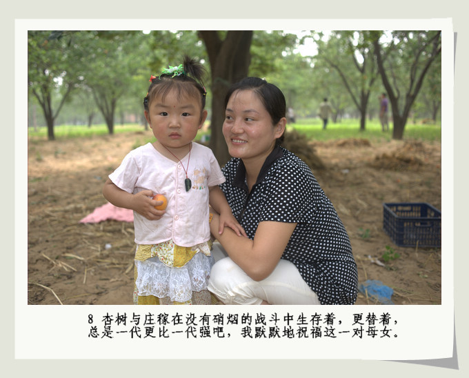 南乐。杏。