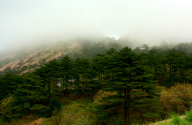 黄山风光