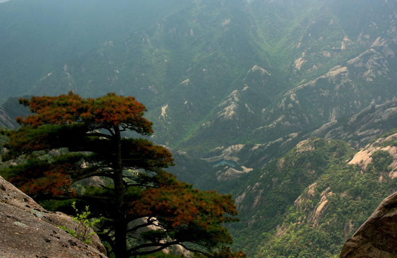 黄山风光