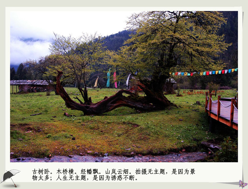 俺也学着发几张西藏的照片