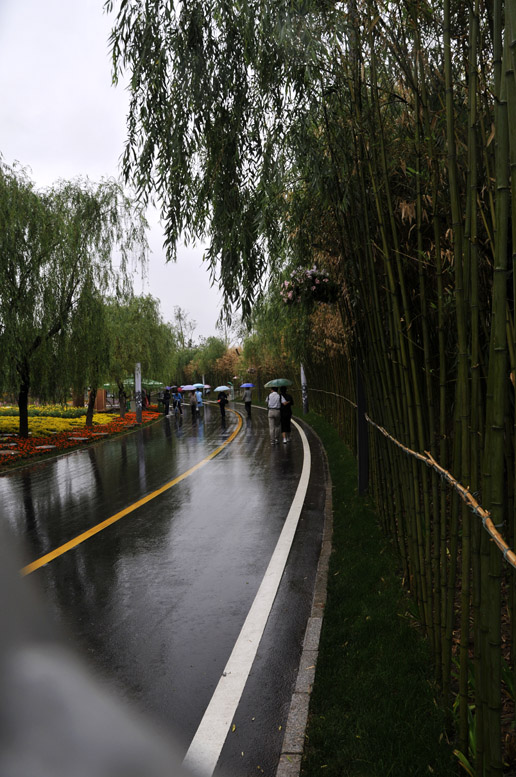 雨中世园会