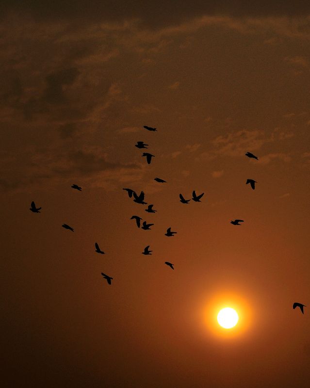 [原创]8日凌晨，被狂风惊醒，发现天空与云层的奇妙组合，手痒，拍摄几张。