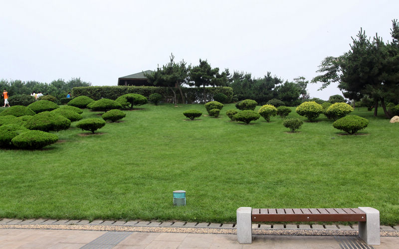 日照风光