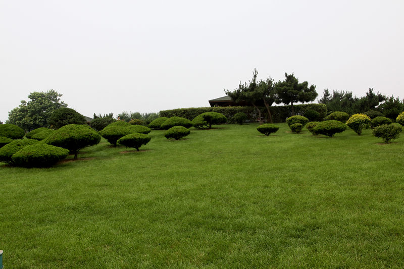 日照风光