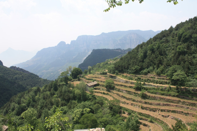 登山随拍