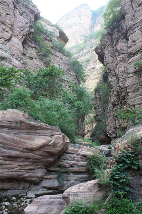 登山随拍