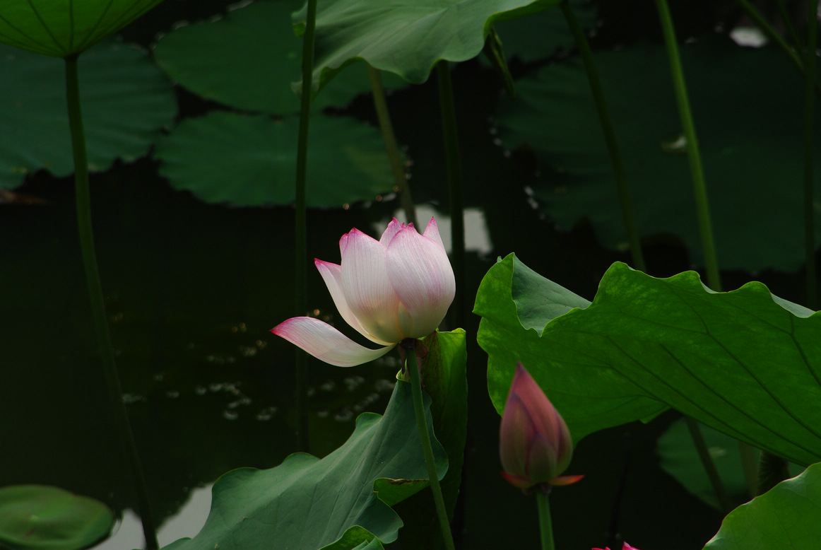 新蕾公园拍了几张