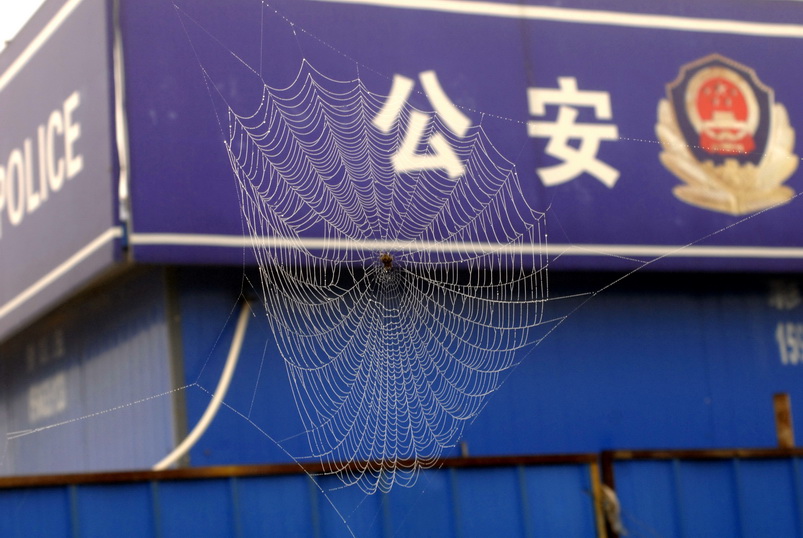 2011山东日照