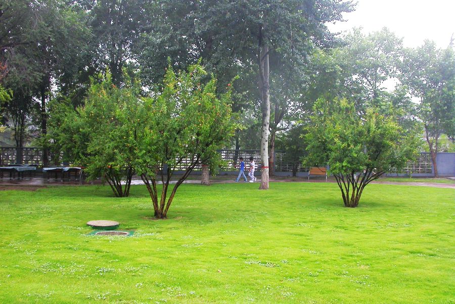 雨后