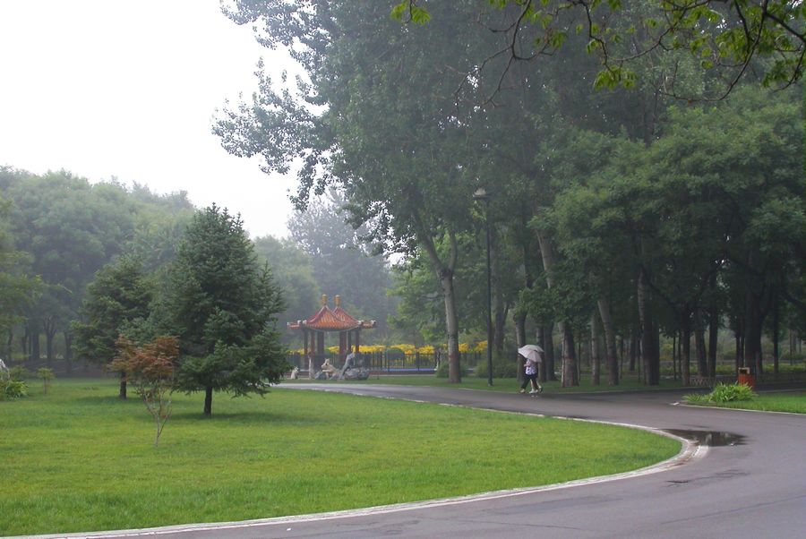 雨后