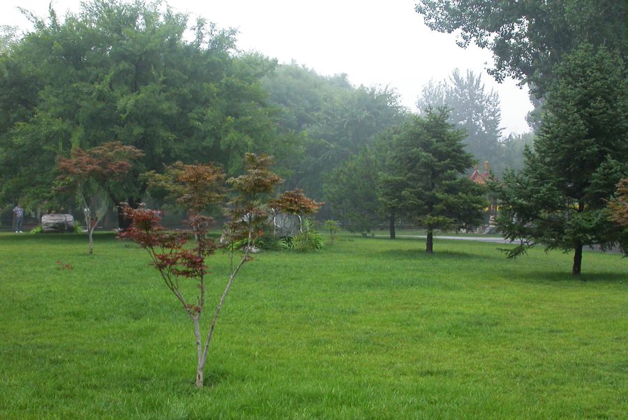 雨后